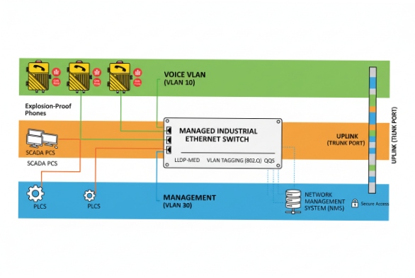 Network diagram separates voice VLAN and management VLAN for industrial SIP phones