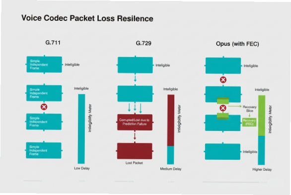 Codec packet loss resilience diagram comparing G.711 G.729 and Opus with FEC