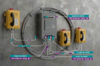 VLAN 10 voice ring network with SIP phones switch tags and DSCP QoS